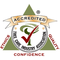 TCIA Accredited
